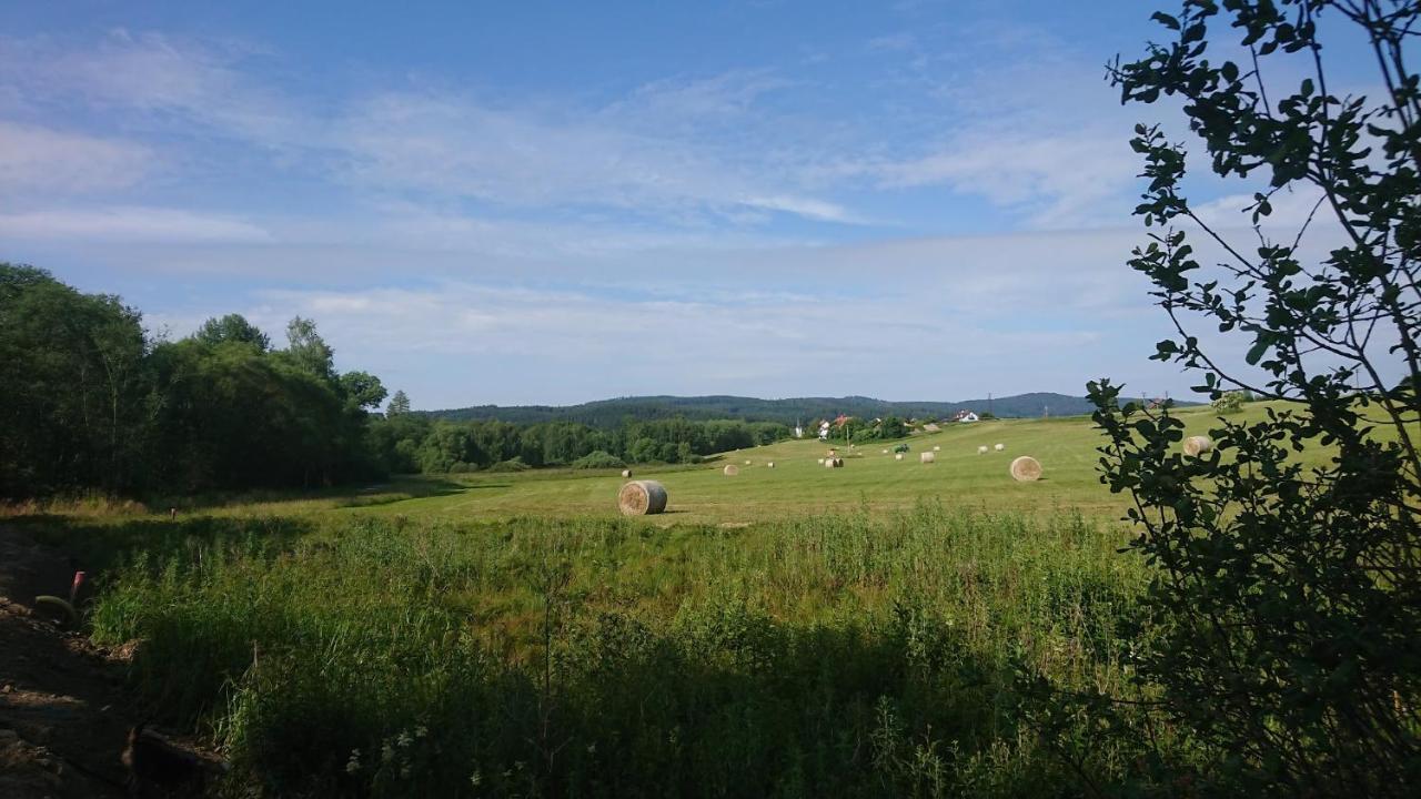 Apartmany U Lipno Frymburk Exteriör bild