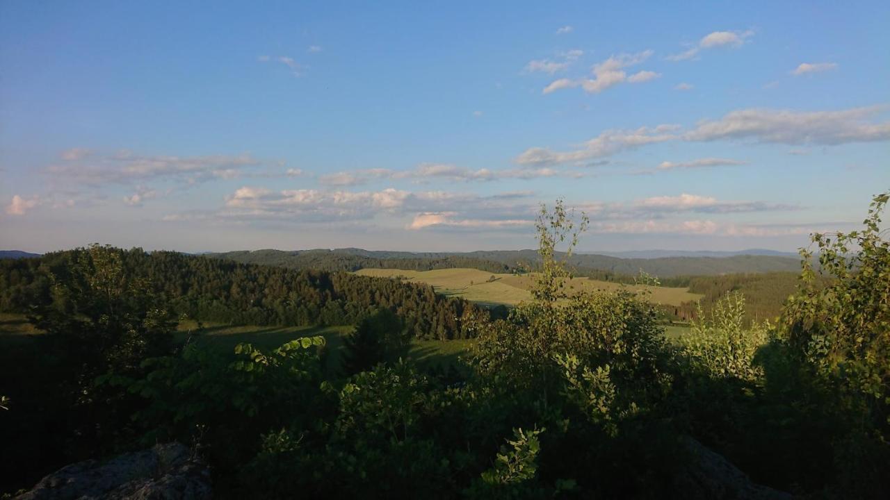 Apartmany U Lipno Frymburk Exteriör bild