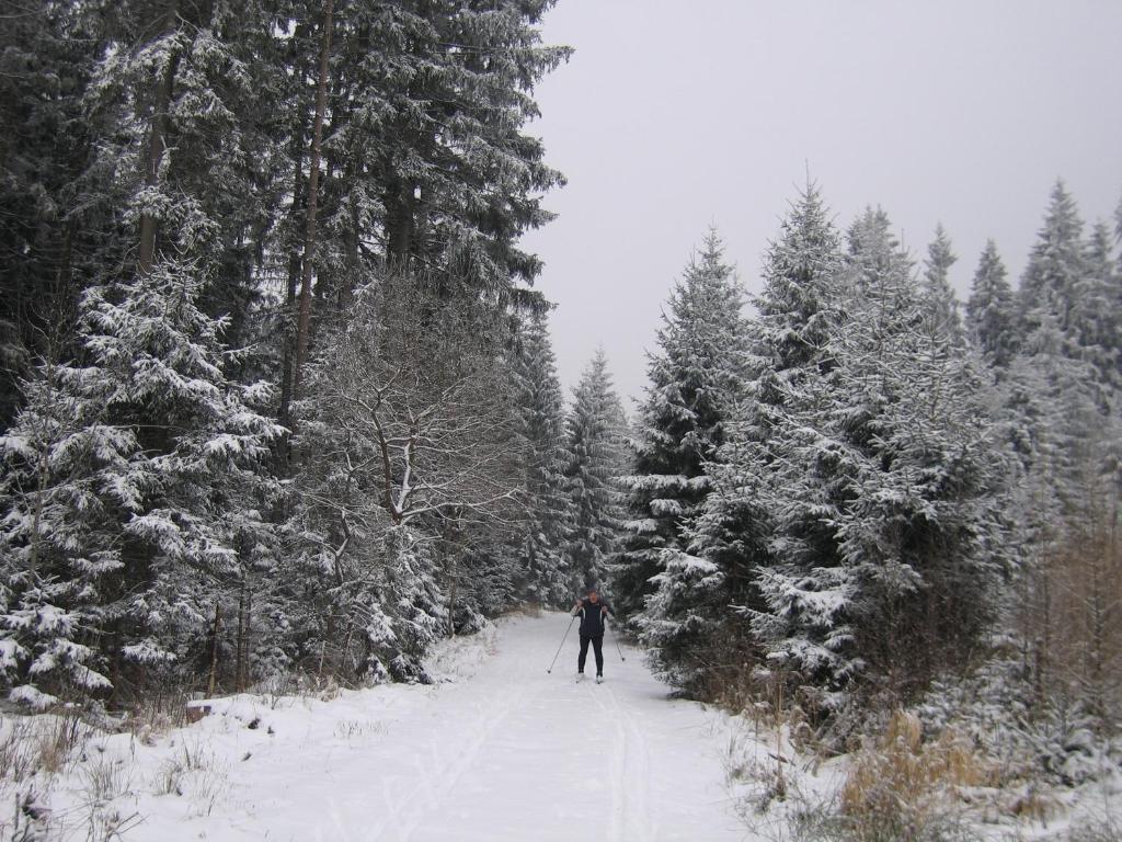 Apartmany U Lipno Frymburk Exteriör bild