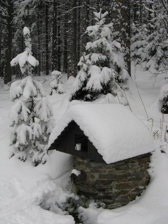 Apartmany U Lipno Frymburk Exteriör bild