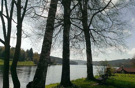 Apartmany U Lipno Frymburk Exteriör bild